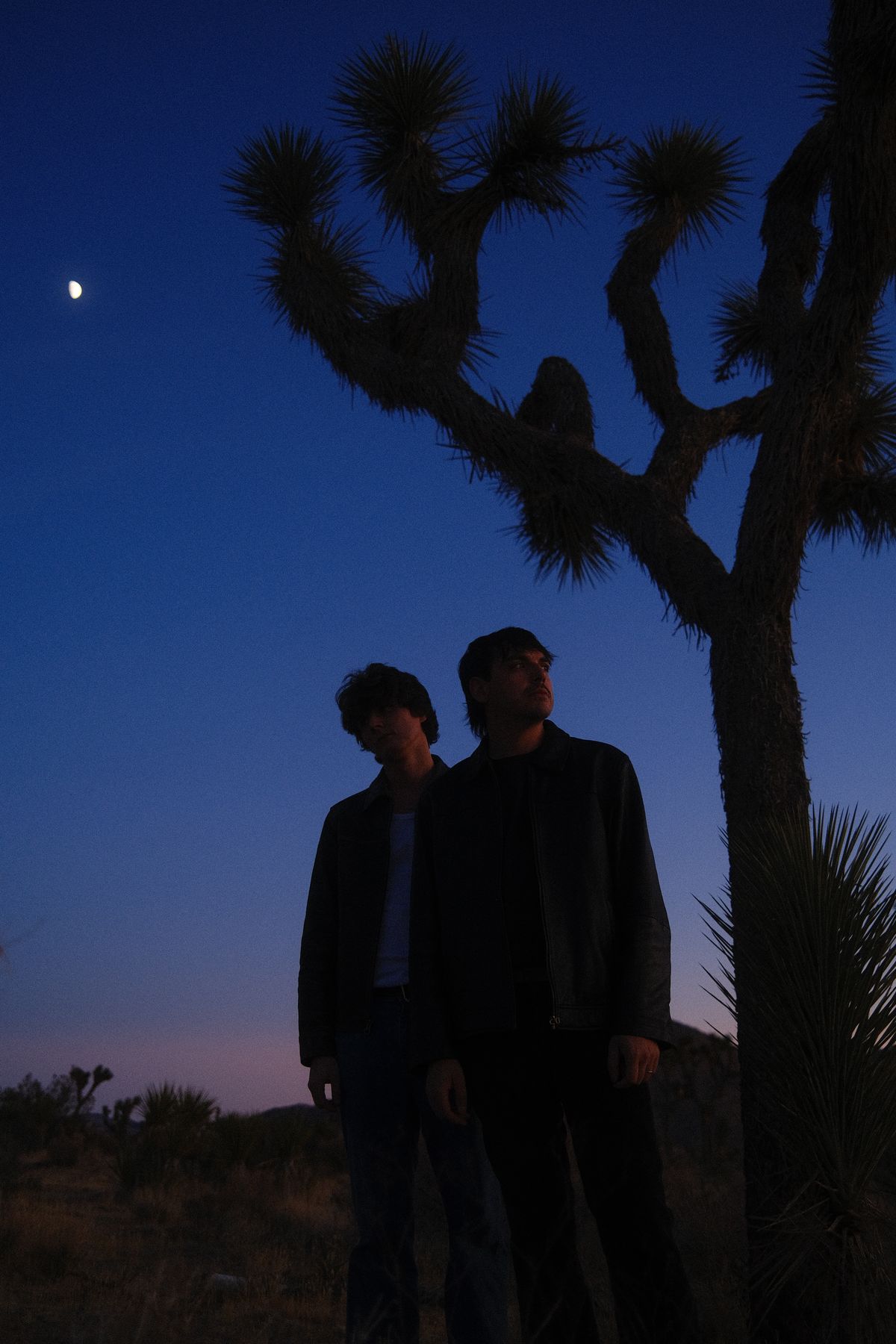 The duo at dusk under a Joshua tree, the moon in a deep blue sky